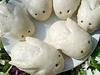 Bunny Bao (steamed buns) Bunny Bao (steamed buns)