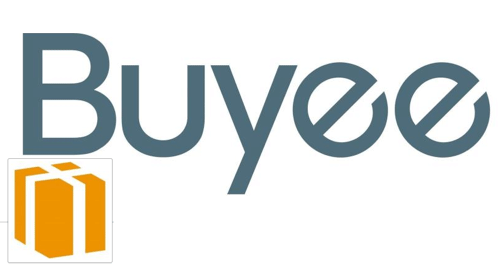 Buyee auction