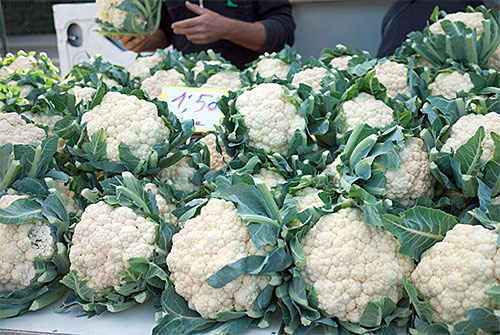 cauliflowerpic.jpg