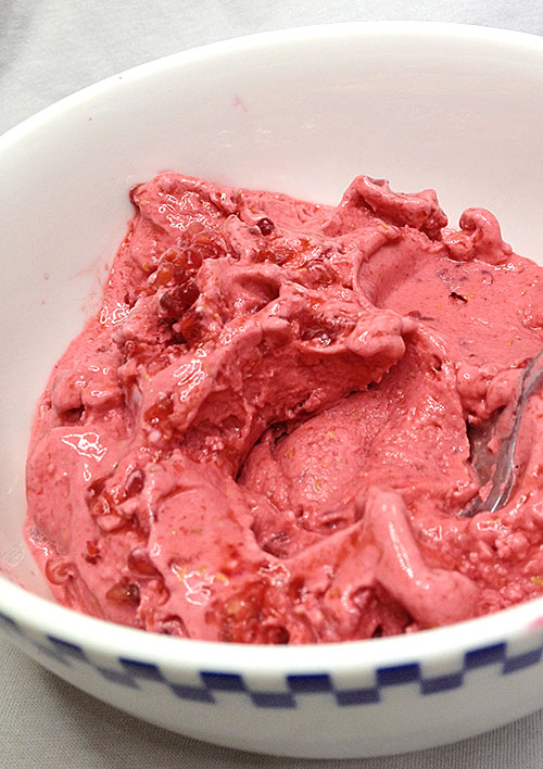 How to Make Instant Frozen Yogurt in the Blender - Crumb: A Food Blog