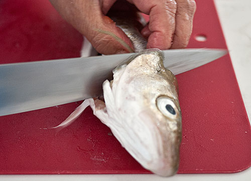 Cooking 101 – Cleaning Fish