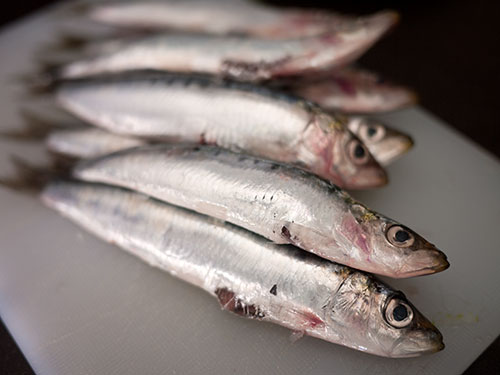 Takamichi Beauty Room - Welcome soap on a rope. In Japan, Tai fish (sea  bream) is regarded as a good luck fish, bringing success and abundance.  Don't we all need one to