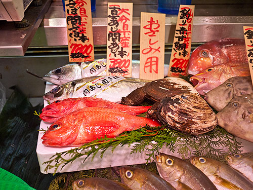 jc101-fishdisplay.jpg