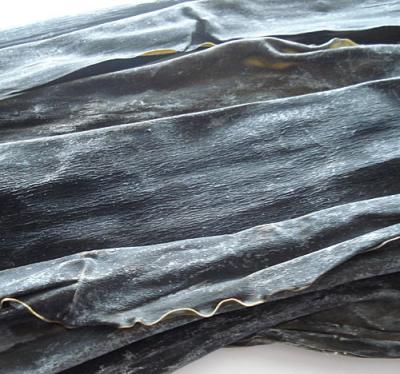 Kombu seaweed closeup Kombu seaweed closeup