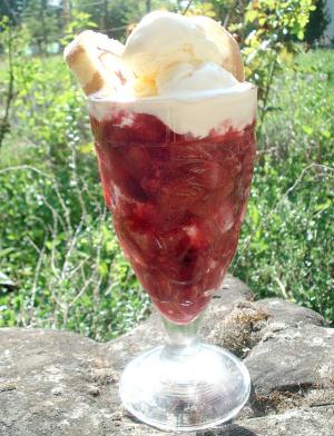 Rhubarb berry trifle Rhubarb berry trifle