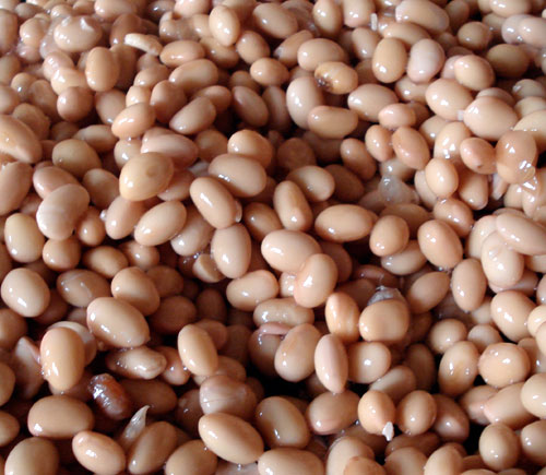 soybeans1.jpg
