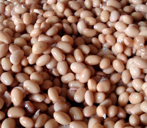 Dried soybean recipes