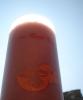 Rhubarb berry ginger smoothie Rhubarb berry ginger smoothie