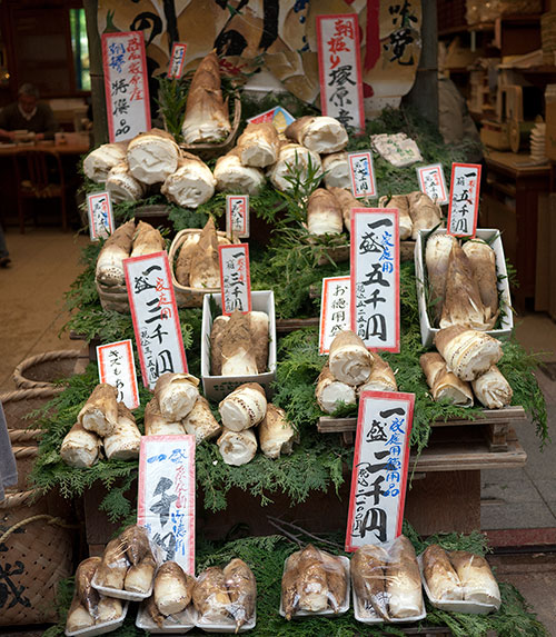 takonoko-kyoto-display1.jpg