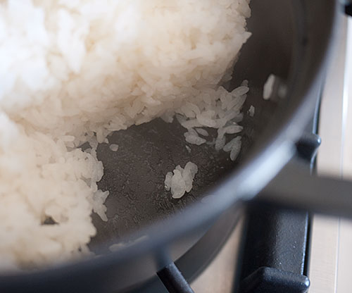 How to Cook Perfect Fluffy Rice without a Rice Cooker (Staub Rice Cocotte  Gohan) 