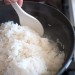 How properly cooked Japanese rice should look